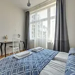 Lion - Scandi Ii * 소포트