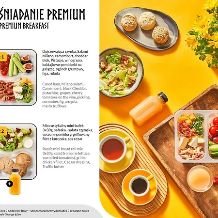 Lion - Scandi Ii 索波特