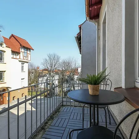 Lion - Scandi Ii * Sopot