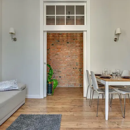 Lion - Scandi Ii 索波特